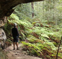 Dharug National Park - Stayed