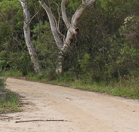 Riverview walking track - Stayed