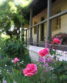 Raglan Gallery And Cultural Centre - Stayed 2