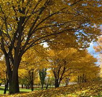 Centennial Park at Cooma - Stayed