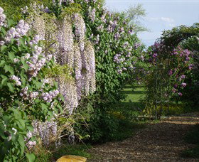 Back O The Moon - Stays Accommodation 3