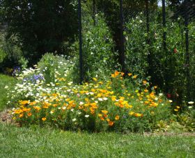 Back O The Moon - Stays Accommodation 2