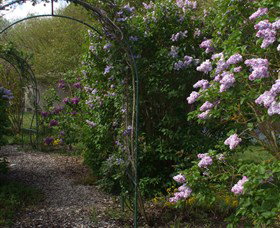 Back O The Moon - Stays Accommodation 4