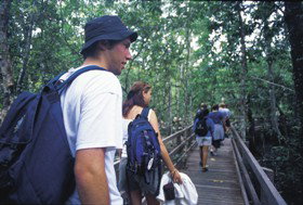 Mt Archer QLD Stayed