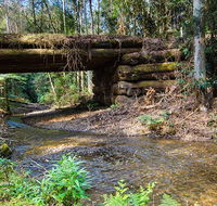 Myrtle Scrub scenic drive - Stayed