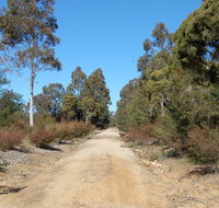 Werakata National Park - Stayed