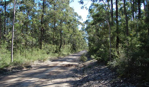 Werakata National Park - Stays Accommodation 2