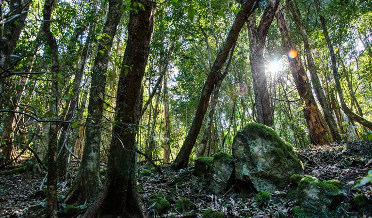 Hunter Valley NSW Stays Accommodation