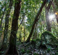 Copeland Tops State Conservation Area - Stays Accommodation