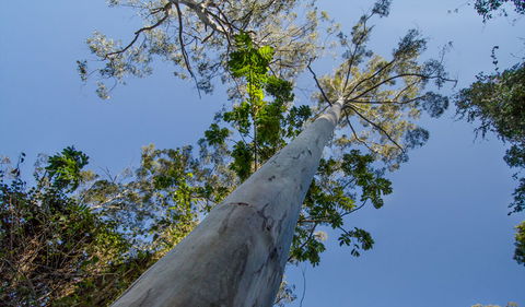 Copeland Tops State Conservation Area - Stays Accommodation 1