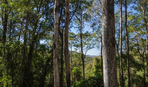 Basin Loop Track - Stays Accommodation 3