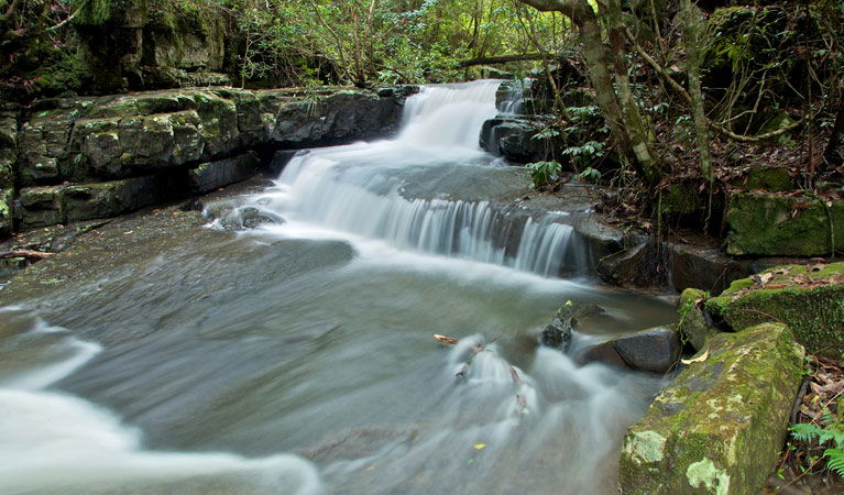 Bandon Grove NSW Stayed