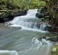 Jerusalem Creek trail - Stays Accommodation