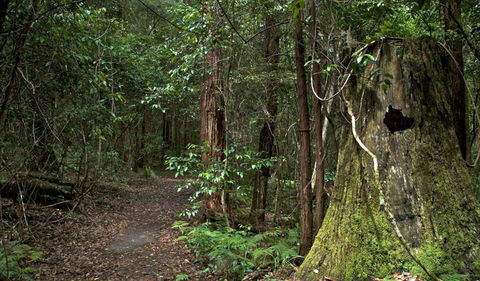 Jerusalem Creek Trail - Stayed 1
