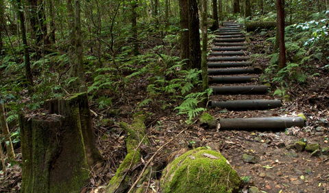 Jerusalem Creek Trail - Stayed 2