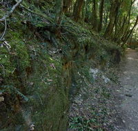 Hidden Treasure track - Stays Accommodation
