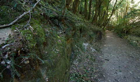Hidden Treasure Track - Stays Accommodation 0