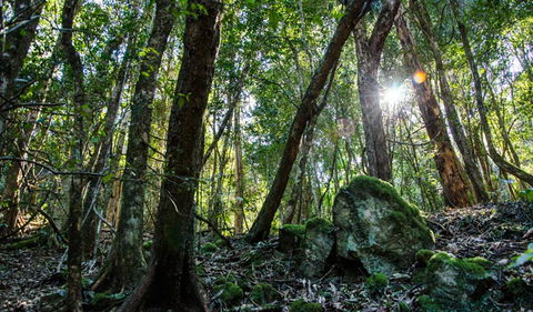 Hidden Treasure Track - Stays Accommodation 1