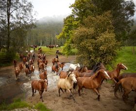 Glenworth Valley Horse Riding - Stayed 0