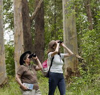 Chichester State Forest - Stayed