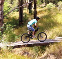 The Steps Mountain Bike Park - Stayed