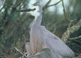 Jack Smith Lake State Game Reserve - Stayed 0