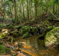 Palm Grove Nature Reserve - Stayed