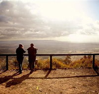 Heaton State Forest - Watagan Mountains - Stayed
