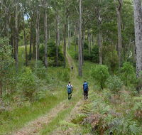 The Green Gully track - Stayed