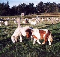 Trudgalong Farm - Stayed