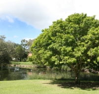 Hervey Bay Botanic Gardens - Stayed