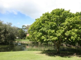 Hervey Bay Botanic Gardens - Stayed 0