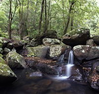 Kangaroo River - Stayed