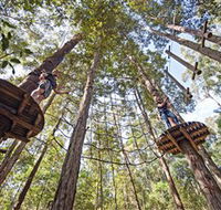 TreeTop Adventure Park Central Coast - Stayed