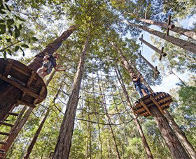 TreeTop Adventure Park Central Coast - Stayed 0