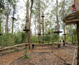 TreeTop Adventure Park Central Coast - Stayed 5