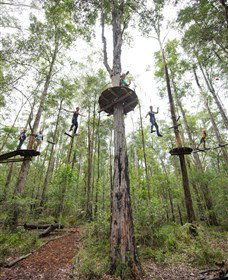 TreeTop Adventure Park Central Coast - Stayed 4