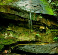Strickland State Forest - Stayed