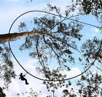 TreeTops Crazy Rider - Stayed