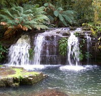 Barrington Tops National Park Walks - Stayed