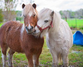 Amazement Farm And Fun Park / Cafe And Farmstay Accommodation - Stayed 5