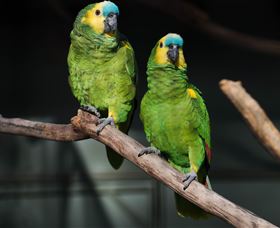 Amazement Farm And Fun Park / Cafe And Farmstay Accommodation - Stayed 7