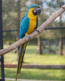 Amazement Farm And Fun Park / Cafe And Farmstay Accommodation - Stayed 8