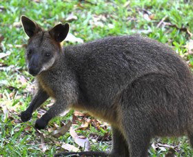 St Ives Precinct - Stays Accommodation 4