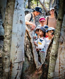 St Ives Precinct - Stays Accommodation 3