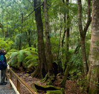 Monga National Park - Stays Accommodation
