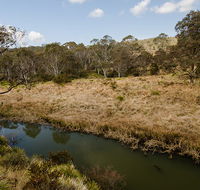 Werrikimbe National Park - Stayed