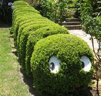 Nutcote - May Gibbs' Home - House Museum - Stayed