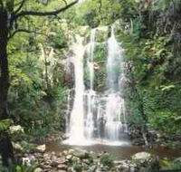 Budderoo National Park - The Falls Walk - Stayed