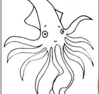 Squid Studio - Stayed